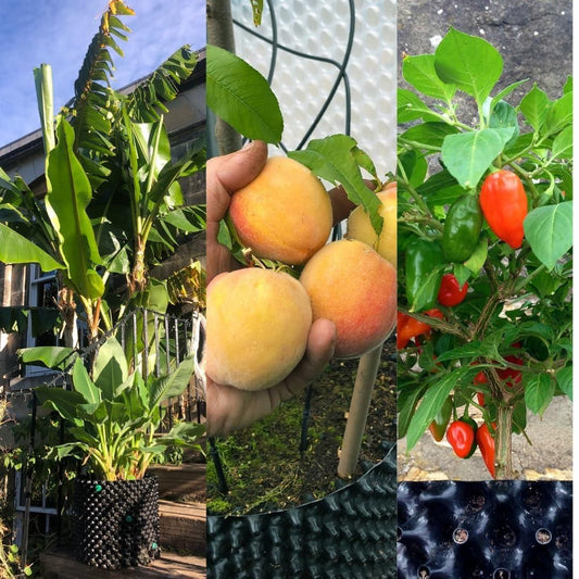 Premium 12x15 Inch Air Pruning Grow Bag – Gardening Pot