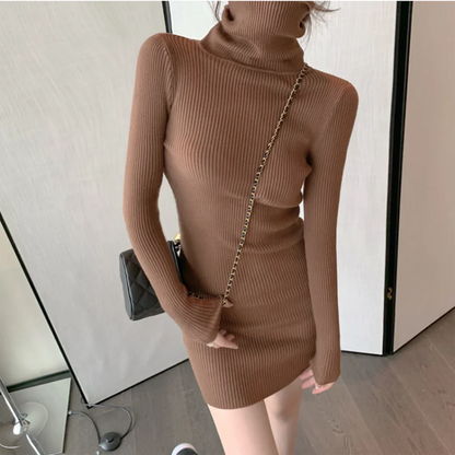 Women Turtleneck Knit Bodycon Dress 👗 | Warm Office Mini