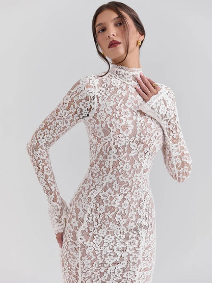 Women’s Mesh Bodycon Midi Dress – High Neck Long Sleeve