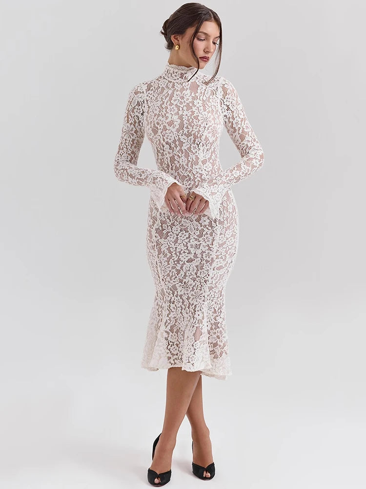 Women’s Mesh Bodycon Midi Dress – High Neck Long Sleeve