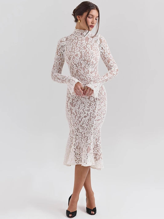Women’s Mesh Bodycon Midi Dress – High Neck Long Sleeve