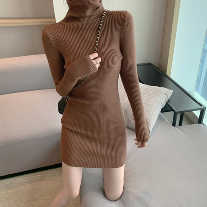 Women Turtleneck Knit Bodycon Dress 👗 | Warm Office Mini
