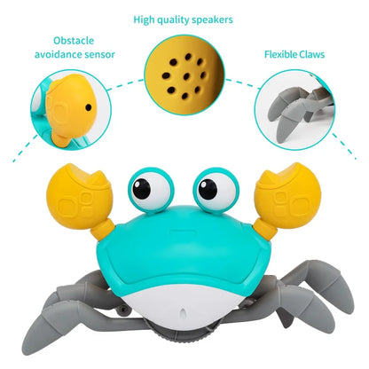 Dancing Crab Run Away Baby Toy