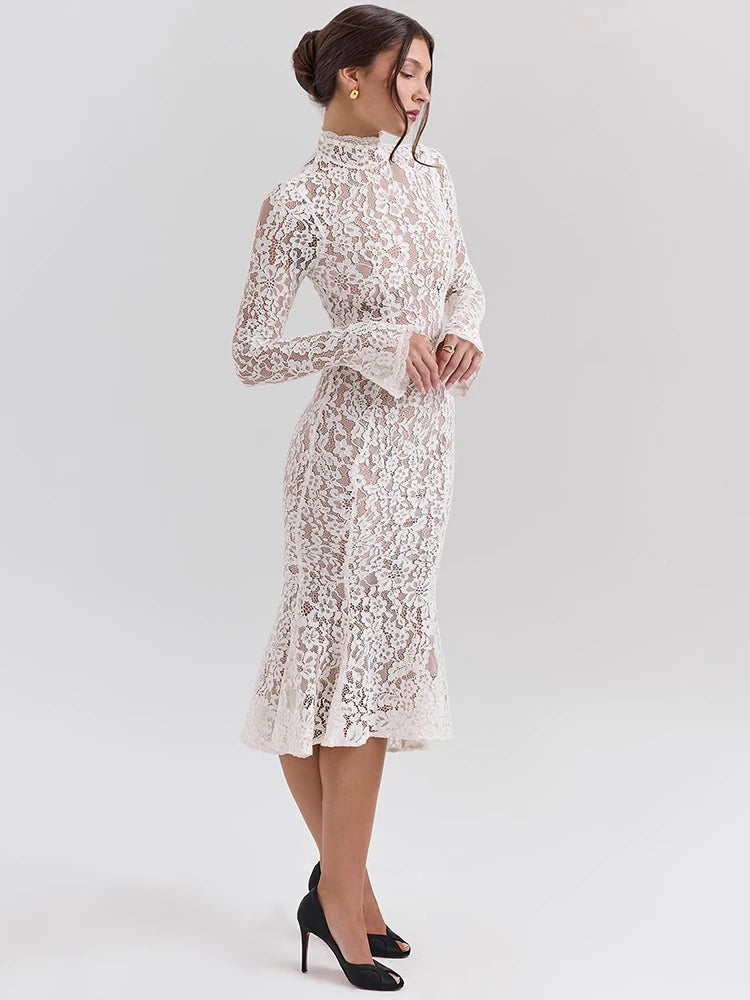 Women’s Mesh Bodycon Midi Dress – High Neck Long Sleeve