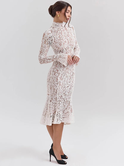 Women’s Mesh Bodycon Midi Dress – High Neck Long Sleeve