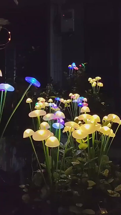 5W 8 LED Solar Mushroom Garden Light